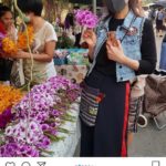 ทูลกระหม่อมฯ ทรงห่วงปัญหาฝุ่น ประชวรภูมิแพ้ 2 ปี หนีไม่พ้น ชี้ เราจะแย่กันหมดแล้ว