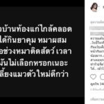 ศรราม-ติ๊ก มาแต่เช้า! มีไลฟ์สด หลัง น้ำฝน โพสต์แรงด่าหมาขี้เรื้อนท้องแก่ใกล้คลอด