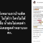 น้ำฝน โพสต์ถึงใคร หมาขี้เรื้อนท้องแก่ใกล้คลอด ทำคนแห่คอมเมนต์เดือดกลางไอจี!