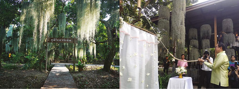 สวนลิ้นจี่โบราณ งานวัดแก้วไพฑูรย์