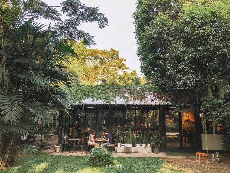 nctuary Cafe & Restaurant อร่อยชิลชิล-สมุทรปราการ