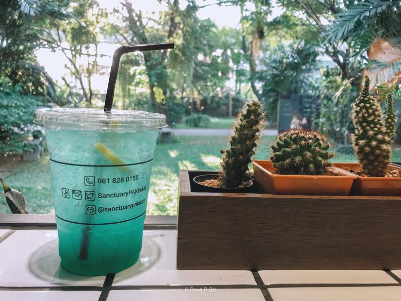nctuary Cafe & Restaurant อร่อยชิลชิล-สมุทรปราการ