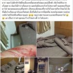 สาวสติเยี่ยม เล่านาทีระทึก รอดโจรบุกหอปล้น หวังข่มขืน แทงเลือดสาด!