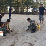ครั้งแรกในรอบ 23 ปี! เต่าหญ้า สัตว์ทะเลหายาก ขึ้นวางไข่ชายหาดบ้านบ่อดาน