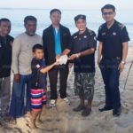 ครั้งแรกในรอบ 23 ปี! เต่าหญ้า สัตว์ทะเลหายาก ขึ้นวางไข่ชายหาดบ้านบ่อดาน