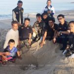 ครั้งแรกในรอบ 23 ปี! เต่าหญ้า สัตว์ทะเลหายาก ขึ้นวางไข่ชายหาดบ้านบ่อดาน