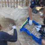ครั้งแรกในรอบ 23 ปี! เต่าหญ้า สัตว์ทะเลหายาก ขึ้นวางไข่ชายหาดบ้านบ่อดาน