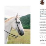 แมท ว่าไง สงกรานต์ โพสต์ภาพม้า คนแห่คอมเมนต์สนั่นไอจี - ปีนผา ชวน“ก็มาดิค้าบบ”