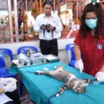 คิกออฟฉีดวัคซีนหมา-แมวฟรีทั่วไทย ลั่นปี 2563 ต้องปลอดโรค พิษสุนัขบ้า