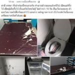 คนเช่าแสบ! พังห้องเละ เปิดแอร์-ตู้เย็น ทิ้ง 10 วัน จานยัดชักโครก เจ้าของหอกุมขมับ