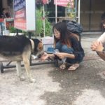 มารับหนูหน่อย! สุดสงสารน้องหมามองรถแววตาเศร้า ออกมารอเจ้าของจุดเดิมทุกวัน