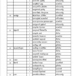 ด่วน! ประกาศรายชื่อ ส.ส. 350 เขต เพื่อไทยกวาด 137 ชนะ พลังประชารัฐ