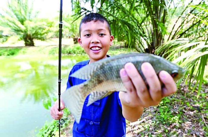 ปันสุขเมืองตรัง ห่างจอไม่ติดเกม