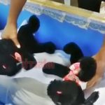 แม่ สาวอบต. ไม่เชื่อลูกจบชีวิตตัวเอง หนุ่มเชื่อวิญญาณมาดลใจบอกจุดพบศพ