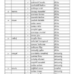 ด่วน! ประกาศรายชื่อ ส.ส. 350 เขต เพื่อไทยกวาด 137 ชนะ พลังประชารัฐ