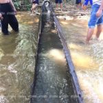 ฝันเห็นหญิงร่างใหญ่! หนุ่มเผยเรื่องลี้ลับ ก่อนพบเรือไม้ตะเคียน ชาวบ้านแห่ขอหวย