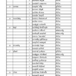 ด่วน! ประกาศรายชื่อ ส.ส. 350 เขต เพื่อไทยกวาด 137 ชนะ พลังประชารัฐ