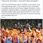 ลบอย่างไว!! พปชร.โป๊ะแตก ชาวเน็ตจับผิด แต่งภาพ-แยกร่างคนฟังปราศรัย ที่อุบลฯ