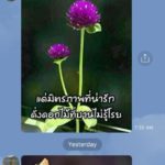 ลีโอ พุฒ เอาคืน! คนไม่รู้จักส่งไลน์ "สวัสดีรายวัน" เจอส่งกลับ...หายไปเลย