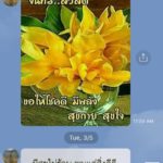 ลีโอ พุฒ เอาคืน! คนไม่รู้จักส่งไลน์ "สวัสดีรายวัน" เจอส่งกลับ...หายไปเลย