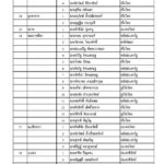 ด่วน! ประกาศรายชื่อ ส.ส. 350 เขต เพื่อไทยกวาด 137 ชนะ พลังประชารัฐ