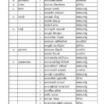 ด่วน! ประกาศรายชื่อ ส.ส. 350 เขต เพื่อไทยกวาด 137 ชนะ พลังประชารัฐ