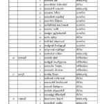 ด่วน! ประกาศรายชื่อ ส.ส. 350 เขต เพื่อไทยกวาด 137 ชนะ พลังประชารัฐ