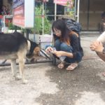 มารับหนูหน่อย! สุดสงสารน้องหมามองรถแววตาเศร้า ออกมารอเจ้าของจุดเดิมทุกวัน