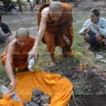 สลดใจ! ชาวบ้านเผาตอซังข้าว ลามไหม้ที่วัด ครอบครัวเต่าคลานช้า ไฟคลอกตายอนาถ