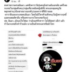 มิ้นต์ ยอมรับ ม่อน น้องชาย อยู่ในกลุ่มต่อยสาวเบ้าตาแตกหน้าผับ เตือนแล้ว มันดื้อ