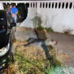 เก๋งถอยชนกำแพงบ้านทะลุ เจ้าของลงมาดูแทบช็อก! เจอ ศพติดใต้ท้องรถ