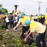 กรมโยธาฯ จัดกิจกรรมจิตอาสาทำความดี กำจัดผักตบชวาแม่น้ำท่าจีน