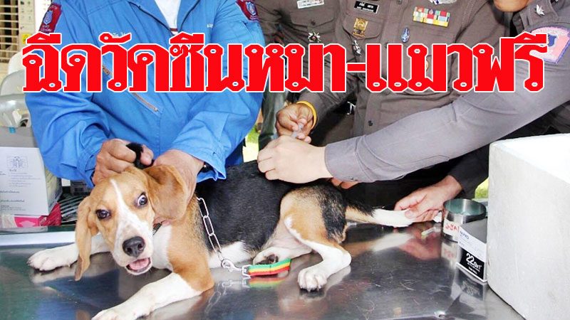 à¸„ à¸à¸­à¸­à¸Ÿà¸‰ à¸