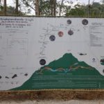 เผยสภาพภายในถ้ำหลวง หลังผ่านมาเกือบปี ขณะเจ้าหน้าที่เข้าเก็บกู้อุปกรณ์ที่ตกค้าง