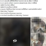 ยายเดินตามหาหมา สลดชาย 2 คน รุมทุบหัวจนสิ้นใจ ก่อนเอาไปฝัง อ้างหมาวิ่งมากัด