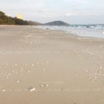 ชาวระยองผวา! ผลึกสีขาวปริศนา เกลื่อนหาดแม่รำพึง หวั่นเป็นสารเคมีอันตราย