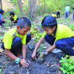 ปลูกสัก-ตะเคียนครั้งที่ 11 ข่าวสดนำทีมจัด ณ วัดบ้านถ้ำ