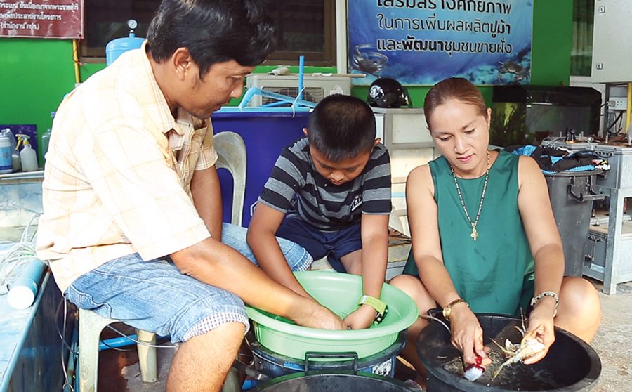 ท่องตาม‘ตะวัน’ ลูกทะเลเมืองจันท์