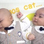 บัว สโรชา อุ้มลูกแฝด รับทรัพย์อื้อ ปู่ย่าตายายแจกทองท่วมตัว ลุงบีม ให้ทองเป็นกิโล(คลิป)