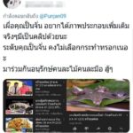 แฟนมาสเตอร์เชฟเดือดอัด ปั้นจั่น ป้องกระเบน จี้ขอโทษล่วงเกินหม่อมป้อม หม่อมอิ๊งค์