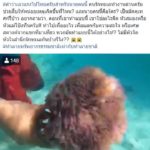 จวกยับ! ไกด์ถอนดอกไม้ทะเล ล่อปลานีโม่ ขึ้นเหนือน้ำ ให้นักท่องเที่ยวจับเล่น