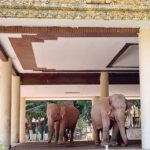 เยี่ยมบ้านอองซาน ไหว้พระวัดดังเมียนมา : หลากหลาย