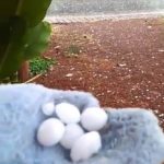 นครพนมอ่วม! พายุลูกเห็บ ถล่มซัด 2 อำเภอ ถนนขาวโพลน-หอบหลังคาปลิวว่อน