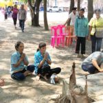 ฮือฮาตะข้องยักษ์ดักทรัพย์! สมภารเล่าฝันเห็นสาวชุดไทยสไบเขียว แห่ส่องเลขตะเคียนทอง(คลิป)