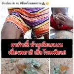 โจ๋พิเรนทร์โชว์กินขี้ไก่-ขี้วัว หวังเป็นไอดอลกระชากใจสาวๆ เพจดังเตือนอันตราย
