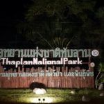 มุ่งหน้ากลับบ้านช่วงสงกรานต์ รถแน่นถนนสาย 304 (กบินทร์บุรี-ปักธงชัย) ยาวเหยียดกว่า 10 กม.