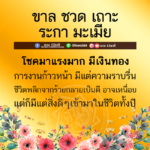 ดวง 5 ปีนักษัตร โชคมาแรง-มีเงินทอง งานก้าวหน้า ชีวิตพลิกจากร้ายกลายเป็นดี!