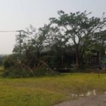 ด่วน! นิว เจอพายุถล่มหนัก ร้านอาหารที่หางดงยับ หลังคากระจุย-รถพังเละ