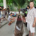 เข้าฝันขอขึ้นจากน้ำ เรือ เจ้าแม่ตะเคียนทอง อายุร้อยปี แห่โรยแป้งหาเลขเด็ด