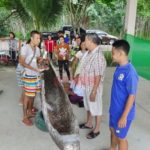 เข้าฝันขอขึ้นจากน้ำ เรือ เจ้าแม่ตะเคียนทอง อายุร้อยปี แห่โรยแป้งหาเลขเด็ด